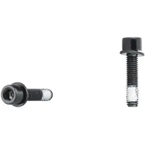 Tektro Rear Flat Mount Caliper Bolt 5mmx22mm Svart